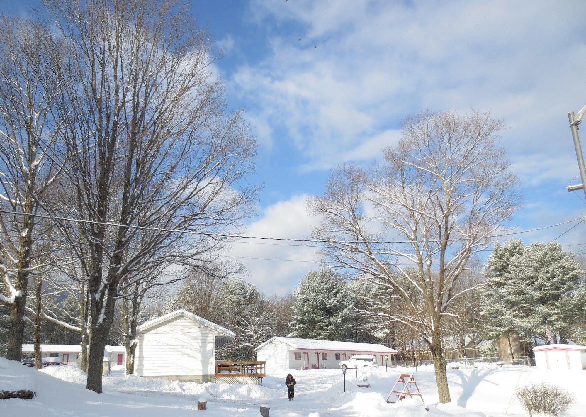 Four Seasons Motel Catskill Bagian luar foto